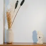 Гостевой дом Maga Miro -